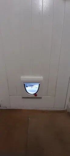 Locking cat flap.